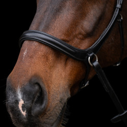 Gebisslose Trense HV Polo Legacy Schwarz Gebisslose Trense HV Polo Legacy Schwarz