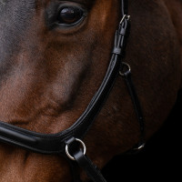 Gebisslose Trense HV Polo Legacy Schokobraun Gebisslose Trense HV Polo Legacy Schokobraun