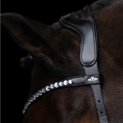 Gebisslose Trense HV Polo Legacy Schwarz Gebisslose Trense HV Polo Legacy Schwarz