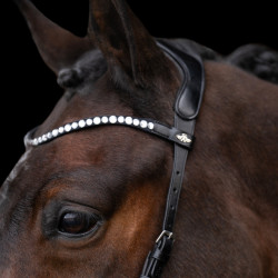 Gebisslose Trense HV Polo Legacy Schwarz Gebisslose Trense HV Polo Legacy Schwarz