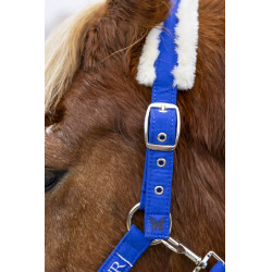 Halfter und Führstrick Harcour Teschic Elektrisches Blau