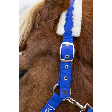 Halfter und Führstrick Harcour Teschic Elektrisches Blau