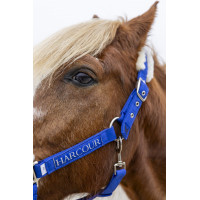 Halfter und Führstrick Harcour Teschic Elektrisches Blau