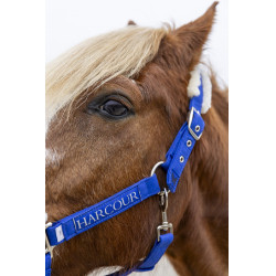 Halfter und Führstrick Harcour Teschic Elektrisches Blau