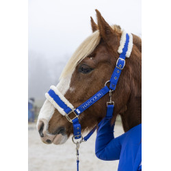 Halfter und Führstrick Harcour Teschic Elektrisches Blau
