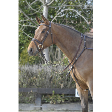 Stübben SideFit Vorderzeug mit abnehmbarem und verstellbarem Martingal Ebenholz / Ebenholz