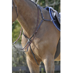 Stübben SideFit Vorderzeug mit abnehmbarem und verstellbarem Martingal Ebenholz / Ebenholz