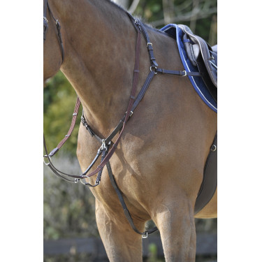 Stübben SideFit Vorderzeug mit abnehmbarem und verstellbarem Martingal Ebenholz / Ebenholz