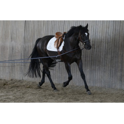 Lange Zügel AKA Stübben Blau / Weiß