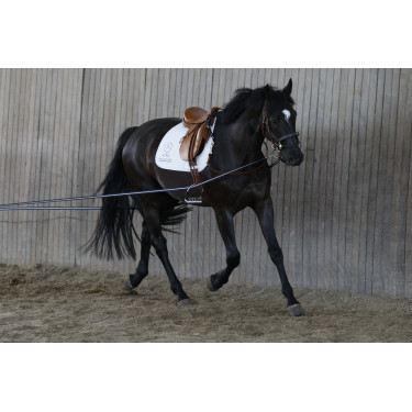 Lange Zügel AKA Stübben Blau / Weiß