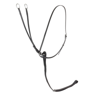 Martingal Stübben mit Ringen Schwarz