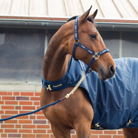 Lange Kette Horze Holbrook Dunkelblauer Peacoat Lange Kette Horze Holbrook Dunkelblauer Peacoat