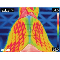 Stübben Streamline Lammfell Sattelpad Stübben Streamline Lammfell Sattelpad