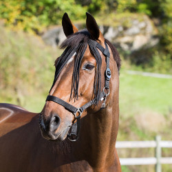 Horze Fliegenstirnband Horze Fliegenstirnband
