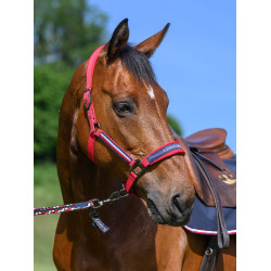 Halfter und Führstrick Tommy Hilfiger Equestrian Yale