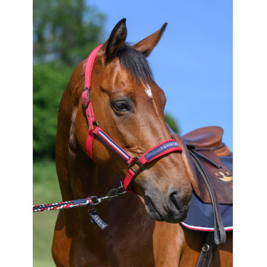 Halfter und Führstrick Tommy Hilfiger Equestrian Yale
