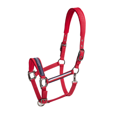 Halfter Tommy Hilfiger Equestrian Lincoln