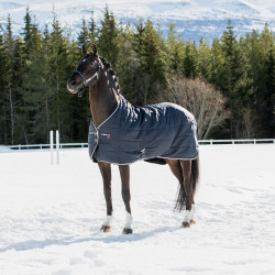 Stalldecke Corey B Vertigo 250 g