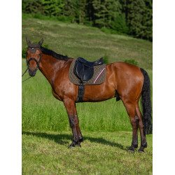 Tommy Hilfiger Equestrian Stanford Dressurpad Tommy Hilfiger Equestrian Stanford Dressurpad
