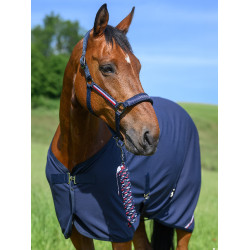 Halfter und Führstrick Tommy Hilfiger Equestrian Yale Marineblau