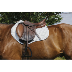 Satteldecke Equithème Eclat