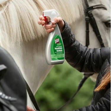 Bremsenlotion gegen Bremsen Bremsenlotion gegen Bremsen