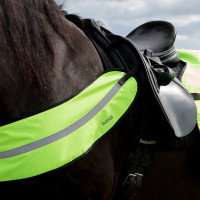 Reflektierendes Geschirr-Halsband Horze Gelb