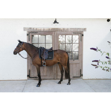 Diamond Dressur Schabracke Dy'on Diamond Dressur Schabracke Dy'on