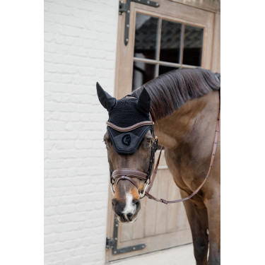 Trense Dy'on D Kollektion kombiniert geflochtenes Reithalfter mit Pull Back Trense Dy'on D Kollektion kombiniert geflochtenes Reithalfter mit Pull Back