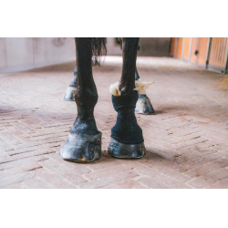 Therapiewolle 150g Grooming Deluxe by Kentucky Therapiewolle 150g Grooming Deluxe by Kentucky