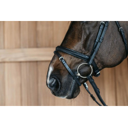 Kombinierte Nasenriemen Dy'on New English Collection Schwarz