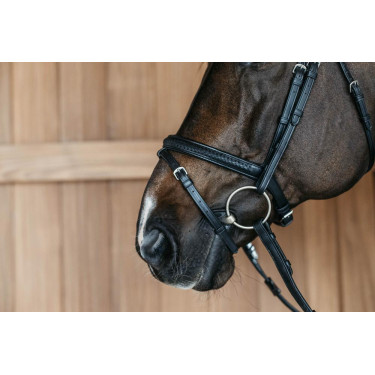 Kombinierte Nasenriemen Dy'on New English Collection Schwarz