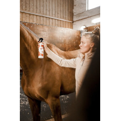 Insektizid-Repellent Rekor Ultra Fly Insektizid-Repellent Rekor Ultra Fly