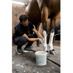 Paste zur Entspannung von Sehnen und Gelenken Rekor Ice N'Tight Paste zur Entspannung von Sehnen und Gelenken Rekor Ice N'Tight