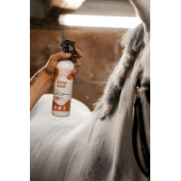 Glanz-Entwirrer Rekor Show Coat Glanz-Entwirrer Rekor Show Coat