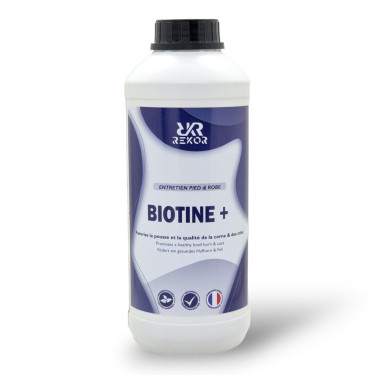Biotin Rekor Biotin+ Biotin Rekor Biotin+