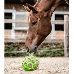 Heuball Waldhausen Heuball Waldhausen
