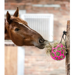 Heuball Waldhausen Pink Rosa Heuball Waldhausen Pink Rosa