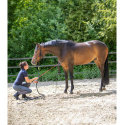Ethologischer Stick Waldhausen Ethologischer Stick Waldhausen