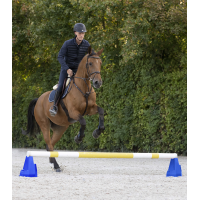 Cavaletti-Hindernisblock Waldhausen Blau Cavaletti-Hindernisblock Waldhausen Blau