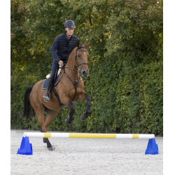 Cavaletti-Hindernisblock Waldhausen Blau Cavaletti-Hindernisblock Waldhausen Blau