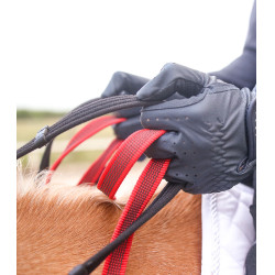 Bricole Waldhausen Sicherheitszügel Secutrust Schwarz