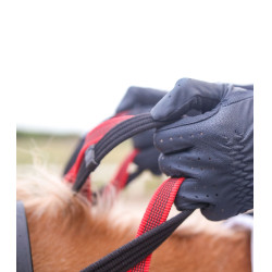 Bricole Waldhausen Sicherheitszügel Secutrust Schwarz