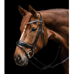 Waldhausen S-Line Essential Trensenzaum Schwarz Waldhausen S-Line Essential Trensenzaum Schwarz