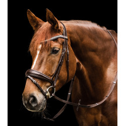 Waldhausen S-Line Essential Trensenzaum Braun