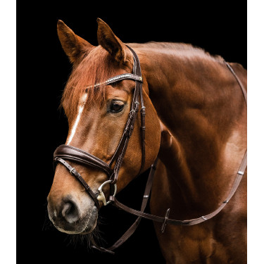 Waldhausen S-Line Essential Trensenzaum Braun