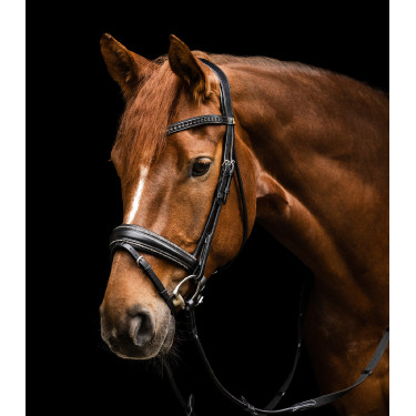 Trense Waldhausen S-Line Glamour Schwarz