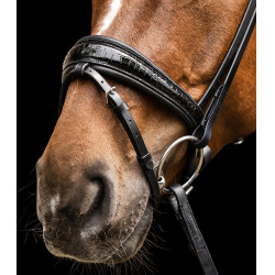 Trensenzaum Waldhausen S-Line Magic Schwarz Trensenzaum Waldhausen S-Line Magic Schwarz