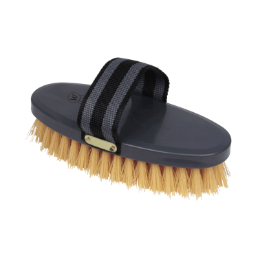 Bürste Waldhausen Premium