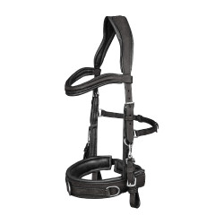 Caveçon Waldhausen aus anatomischem Leder Schwarz